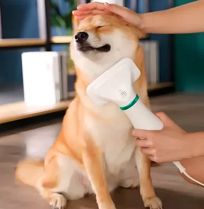 Cepillo y secador de pelo para mascotas