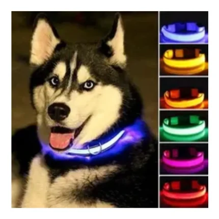 Collar led mascotas
